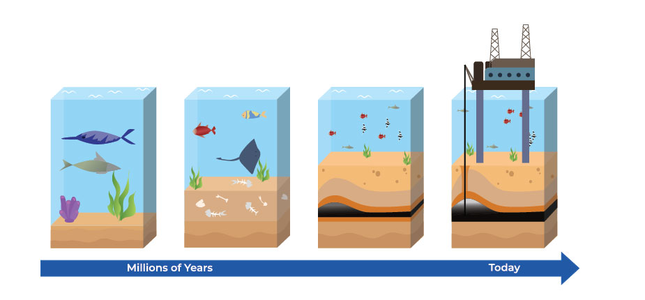 Illustration of how natural gas forms over millions of years from dead sea animals